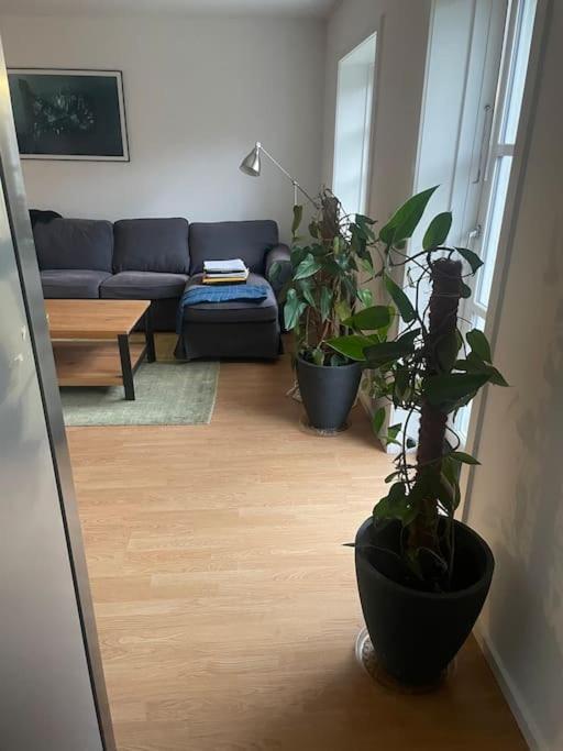 טיסווילדליי 2 Bedroom Apartment Near The Sea מראה חיצוני תמונה